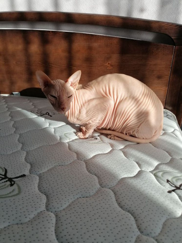 Наши работы